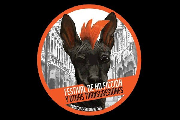 Imagen destacada de Perfil de festivales de cine: Transcinema (Perú)