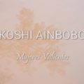 Koshi Ainbobo