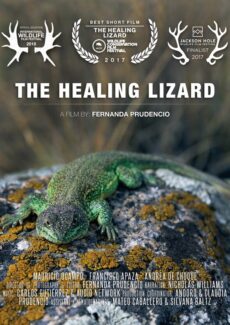 The Healing Lizard