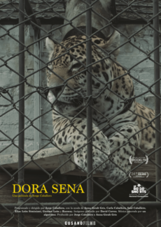 Dora Sena