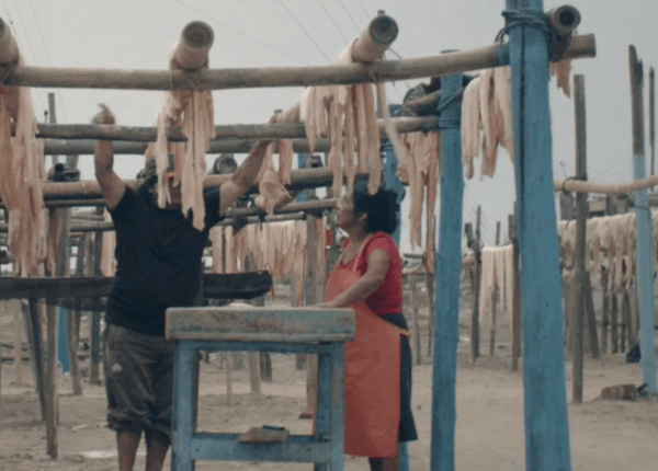 fotograma de la película Bruma