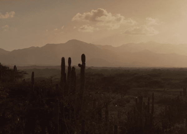 Imagen destacada de la película Los sueños viajan con el viento