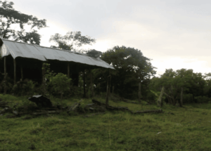 Imagen destacada de la película El Encanto de la Mohana