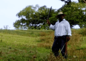 Imagen destacada de la película Tambores