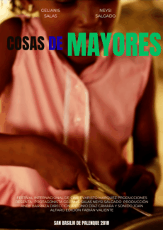 Afiche Cosas de Mayores