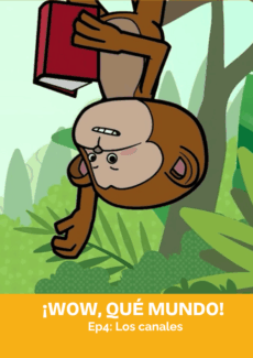 Afiche Los canales