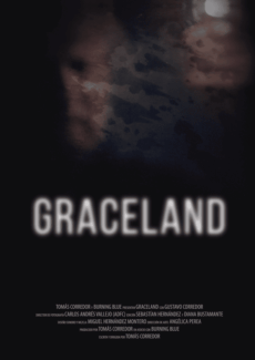 Afiche Graceland