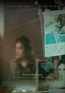 Afiche Guapa