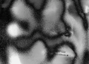 Imagen destacada de la película Fish