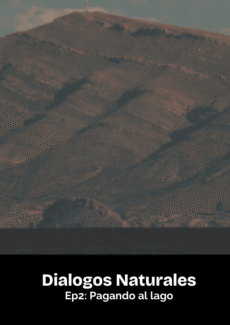 Afiche Pagando al lago