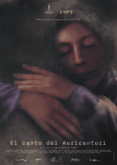 Afiche El canto del Auricanturi