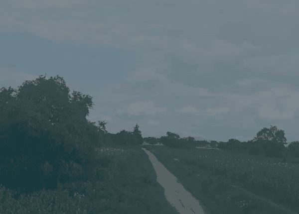 Imagen destacada de la película Sigue tu canto - Retina Latina