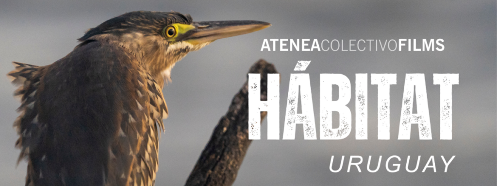 Banner destacado de la serie Hábitat