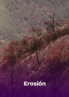 Afiche Erosión
