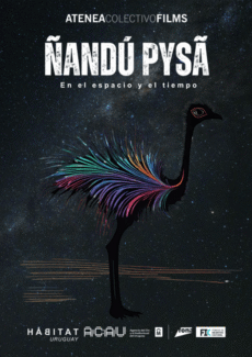 Afiche Ñandú Pysã