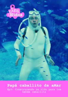 Afiche Construyendo un nido para los bebés caballito