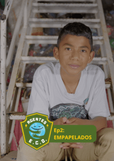 Afiche Empapelados