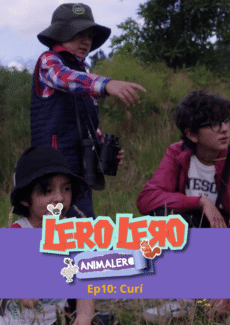 Miniatura afiche Curí