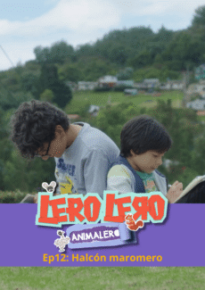 Miniatura afiche Halcón maromero