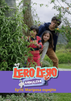 Miniatura afiche Mariposa espejito