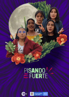 Afiche Tienda de Sorpresas