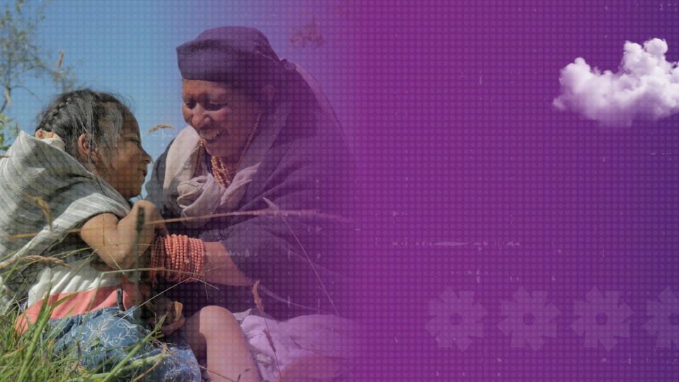 Miradas Indigenas