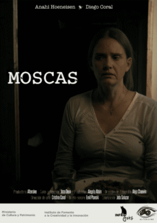 Afiche Moscas