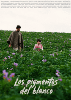 Afiche Pigmentos de blanco