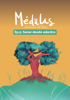 Miniatura afiche Sanar desde adentro