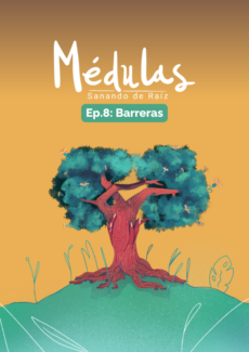 Miniatura afiche Barreras